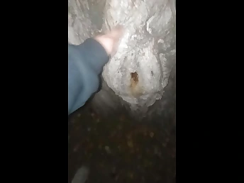 Peyton rudy indulges in public orgy with a super-sexy cooch in the forest